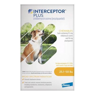 Interceptor Plus Chew For Dogs 25.1 - 50lbs (Yellow) 3 Chews