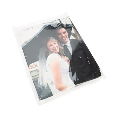 Easy Packaging & Fill No Flap Clear Sleeves for Art and Photography Bag Size: 22 7/16" x 28 3/8" 100 Bags Crystal Clear Bags