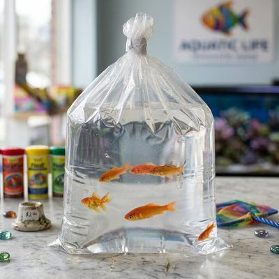 Medium Fish Safe Flat Bottom Waterproof Bags for Shipping Fish & Aquatic Plants in Polystyrene Boxes| Size: 16" x 8" x 22" 100 Bags