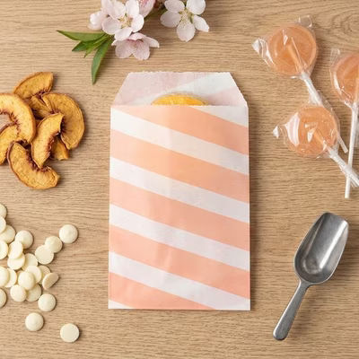 Paper Treat Bags Pink Stripes 3" x 5" 100 pack GPB35PS