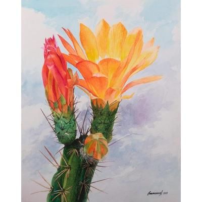 Desert Beauty,'Realist Watercolor Painting of Cactus Flowers'