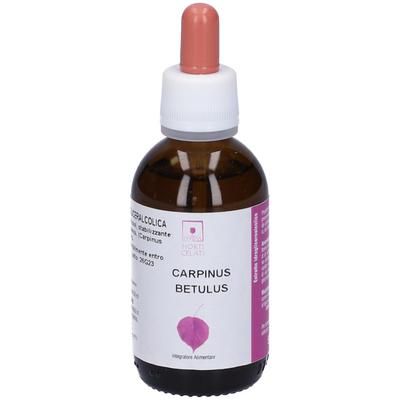 SantiveriCarpinus Betulus Estratto Gliceroalcolico Gocce 50 ml orali