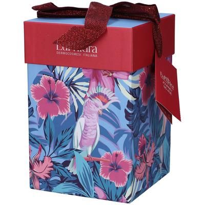 Euphidra Journey No Age Set