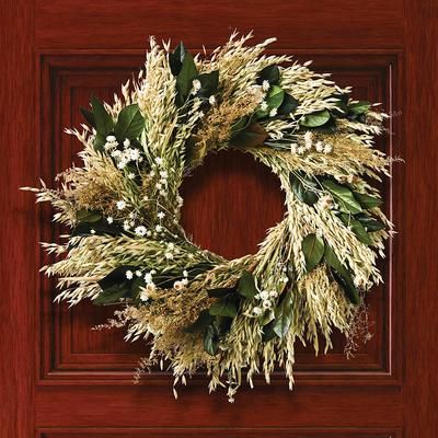 Basil Tranquility Wreath - Frontgate