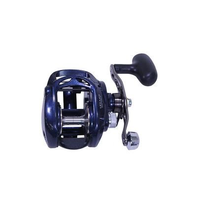 Daiwa Lexa 300 Baitcasting Reel 5.5-1 5+1 Left Hand LEXA-LC300PWRL-P