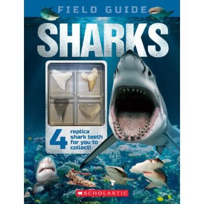 Sharks Field Guide (with Teeth!) (Hardcover) - Henrietta Drane