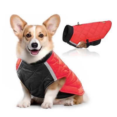 Cane Gatto Cappotto Giacca Moda Sport e Outdoor Inverno Riflettente Caldo Traspirante Morbido Lavabile All'aperto Casual Quotidiano Abbigliamento per Cani for Bichon Frisé Volpino di Pomerania