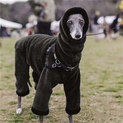 Cane Gatto Cappotto Giacca Moda Carino Inverno Caldo Traspirante Morbido Lavabile Confortevole All'aperto Casual Quotidiano Abbigliamento per Cani for Bichon Frisé Volpino di Pomerania Cucciolo