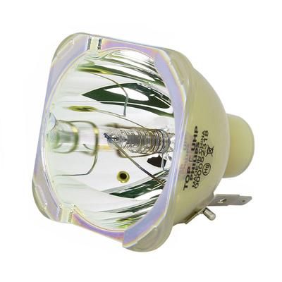 Philips E21.7n 370W/294W 1.0 AC Bare Projector Lamp (9284 453 05390) - 240 Day Warranty