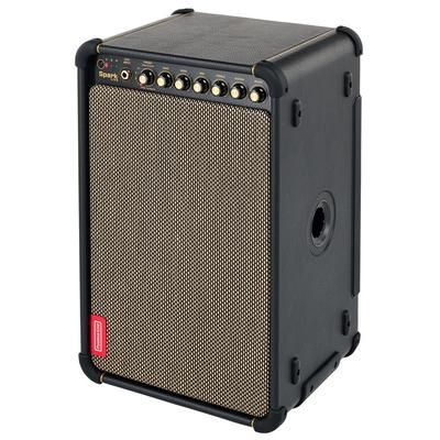 Positive Grid Spark Live B-Stock