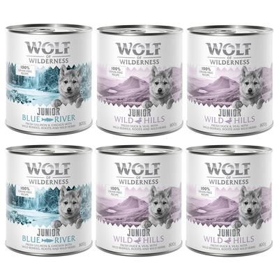 6x800g Mixed Pack Junior Little Wolf of Wilderness Wet Dog Food