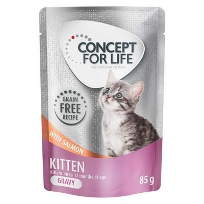 48x85g Kitten Salmon Grain-Free in Gravy Concept for Life Wet Cat Food