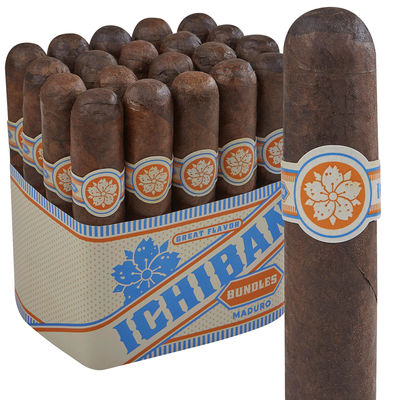 Room 101 Ichiban Maduro - Pack of 20