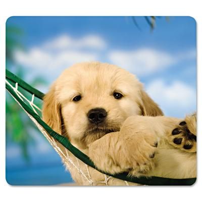 Fellowes 5913901 Recycled Mouse Pad, 9 x 8, Puppy in Hammock Design FEL5913901