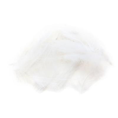 Wapsi CDC Feathers - Light Dun