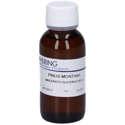 HERING Pinus Montana Gemmeme Tintura Madre 60 ml Gocce orali