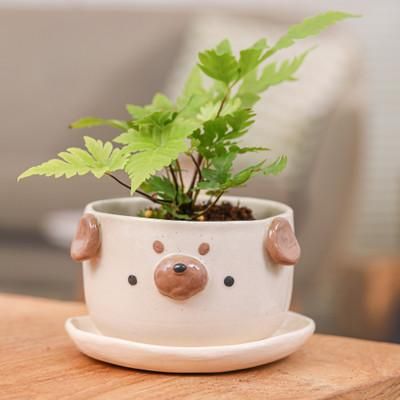 'Artisan-Crafted Pug Dog-Themed Ceramic Flower Pot and Saucer'