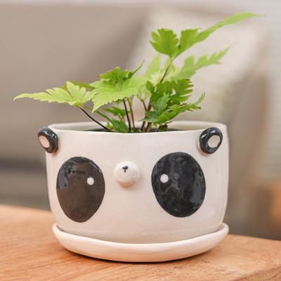 'Panda-Themed Ceramic Flower Pot and Saucer Set (Extra Large)'
