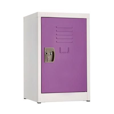 AdirOffice Steel Storage Locker, 1 Compartment, 15 x 15 x 24, Purple (ALHI62902PUR)