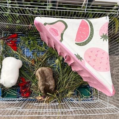 TEMU A Decorative For Small Pets, For , Guinea Pigs, And Other Small Animals To Hide In. A Single Piece From The Fruit Series Two.