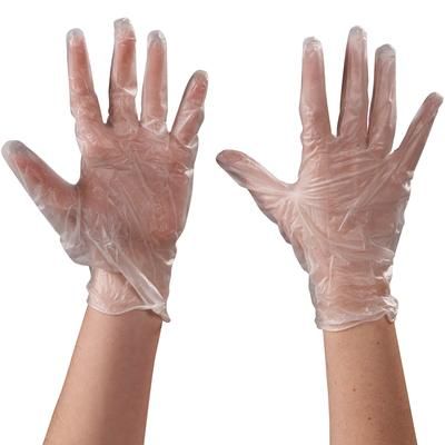 Vinyl Gloves Clear - 5 Mil - Powdered - Large, Case Of 100 (GLV2042L)