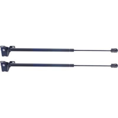 Replacement Lift Support Back Glass, Driver & Passenger Side, 1-year unlimited-mileage warranty SET-RN61290001-2