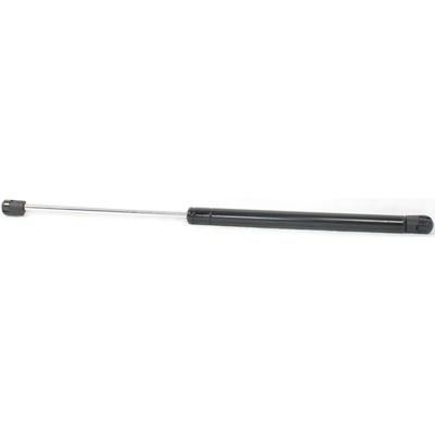 Replacement Lift Support Liftgate Glass, glass (Driver or Passenger Side), 1-year unlimited-mileage warranty REPF610303