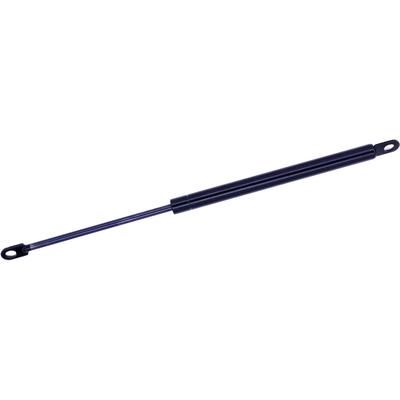 Tuff Support Lift Hood, Driver or Passenger Side, 2-year limited warranty 613163