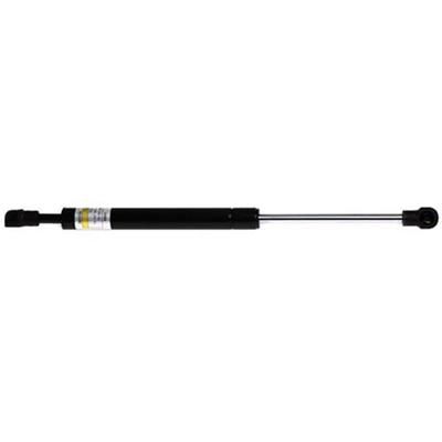 Lesjofors Lift Support Trunk Lid, Driver or Passenger Side, 2-year limited warranty 8195828