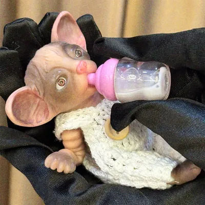 11cm Can Washable Mini Silicone Cat Doll WIth Painted Skin Soft Touch Lifelike Cute Reborn Cat Dolls
