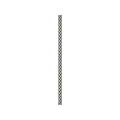 Petzl 11mm Ray Rope White 200 ft R100AA04