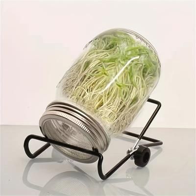 TEMU Sprouting Jar Kit, Wide Mouth Quart Mason Jars With Screen Sprout Lids & Stand, Seeds Germination Growing Kit, Seed Sprouter Set For Growing Broccoli Alfalfa Mung Bean