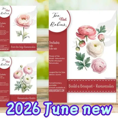 2026 June new Edge Ranunculus craft metal cutting dies mold strips sheet scrapbook paper craft knife mold blade punch dies