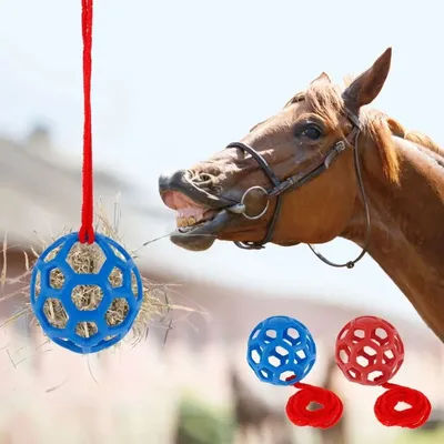 Boule de friandises pour chevaux TPR, rouge/bleu/vert, mangeoire circulaire pour poney, 5.5 pouces, jouet d'alimentation suspendu Durable pour bétail