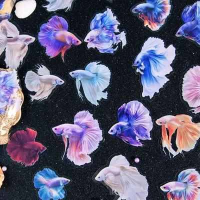 20 pcs Rumble Fish theme Stickers Adhesive Colorful Cartoon Waterproof Sticker For Scrapbooking Laptops Water Bottles Notebook