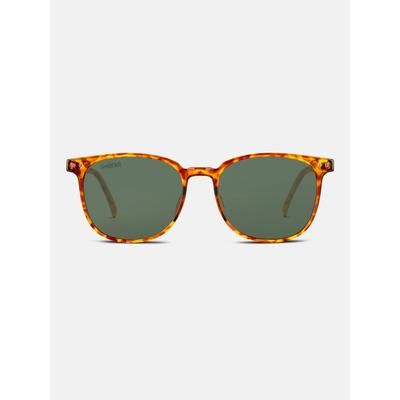 Smooder occhiali da sole unisex Rojas Joyous Tortoise 1 St
