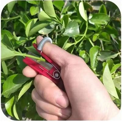 Efficient Vegetable Thump Knife Separator For Farm And Garden RED