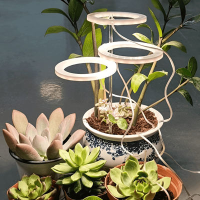 Growth Maximizing LED Grow Light For Indoor Plants In Ring Shape: Versatile, Practical, Non Damaging To Plants 3 Light Heads