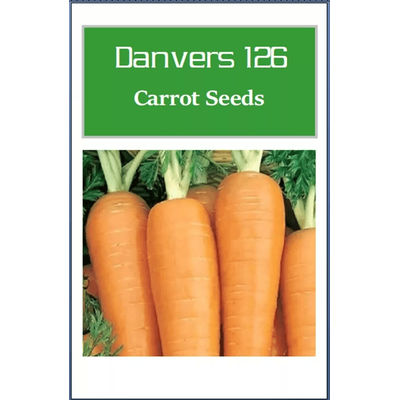 Danvers 126 Carrot Seeds, Non GMO Heirloom Vegetable Seeds For Garden Planting 1500 Seeds