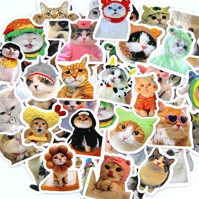 Funny Cat Stickers, Waterproof Vinyl Decals For Laptop, Car, Bike, Luggage & More (2 3 Inch Cute Cartoon Designs) 50pcs