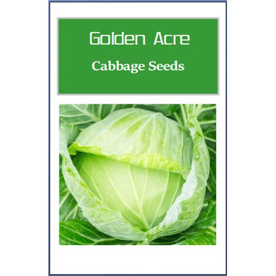 Golden Acre Cabbage Seeds, Non GMO Heirloom Fresh Garden Seeds For All Seasons 250 Seeds