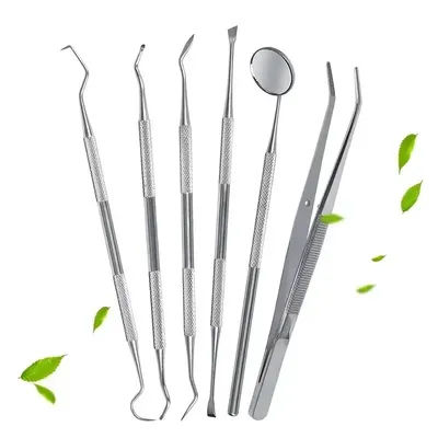 Professional Stainless Steel Dentist Oral Tools Set, Mirror, Flossing, Tartar Removal & Cleaning Kit Professional Stainless Steel Dentist Oral Tools Set, Mirror, Flossing, Tartar Removal & Cleaning Kit