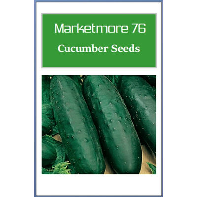 Marketmore 76 Cucumber Seeds, Non GMO Heirloom Garden Seeds, Best For Organic Gardening 200 Seeds