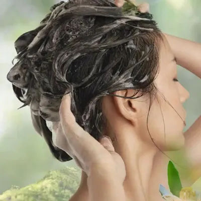 Plant-derived Hair Dye 300ml Long Lasting Natural Hair Dye Shampoo 3 In 1 Hair Dye Coloring Shampoo Coloring Extract Hair Care