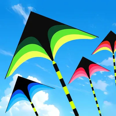 Adults Easy to Fly Large Huge Delta Kite Come with 5m Tail Easy to Fly Kite Outdoor Toy Large Delta Kite for Kids