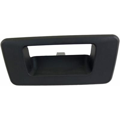 Dorman Tailgate Handle Bezel Help Series, Lifetime limited warranty 88308