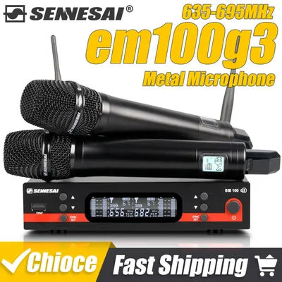 SENNESAI Ew100g3 Professional Dual Wireless Microphone Stage Performance 2 Channels 600-699MHz UHF Karaoke Metal Handheld