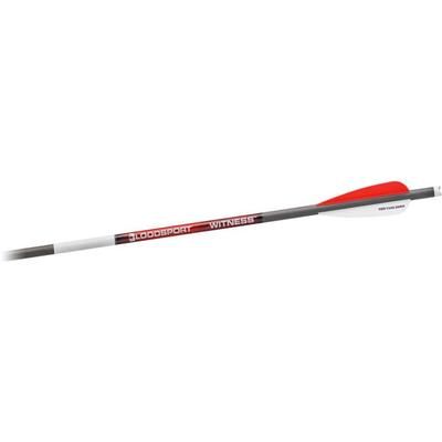 BloodSport Witness 22in Crossbow Bolt 300 Spine 6 Pack Black BLS-B8112053