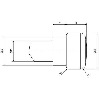 Clou De Fixation Dans Le Sol Type 1 - 16 Mm - 600 Mm - Schake