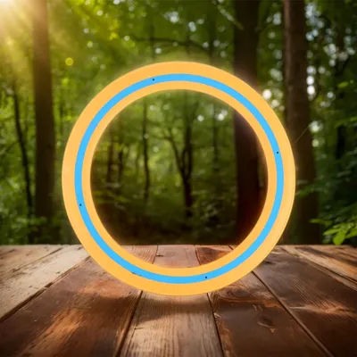 25cm Flying Disc Portable Flying Ring Versatile Outdoor Flying Disc Playing Flying Saucer for Beach Backyard